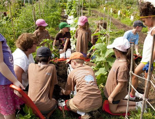 Learning Through Gardening