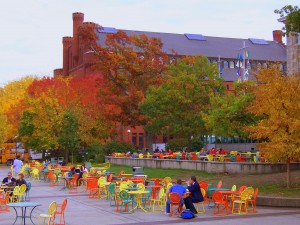 Fall in Madison, WI