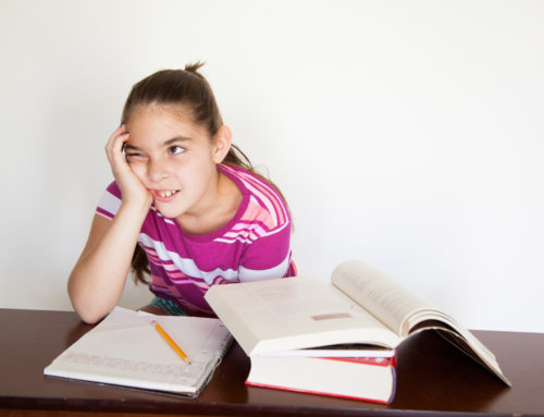 Homework Help Around The Holidays – And All Year Long!